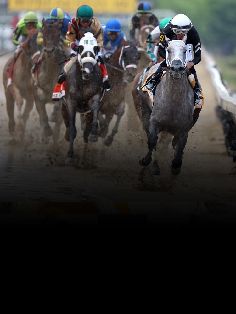 Horse Racing