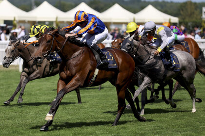 Racehorses competing at Royal Ascot 2025.